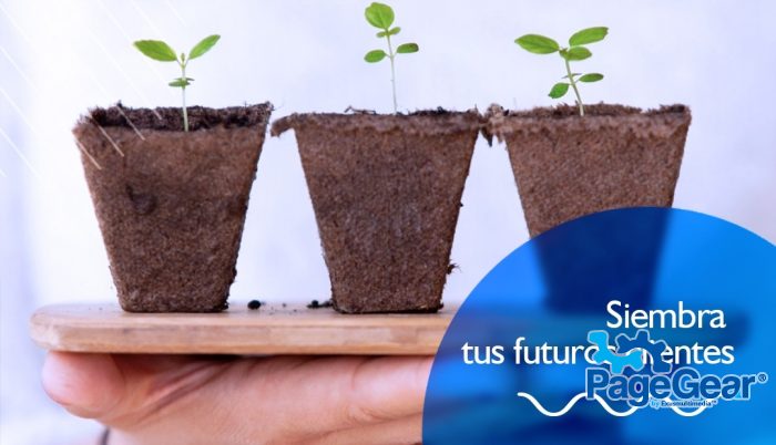 ¿Qué es lead nurturing?